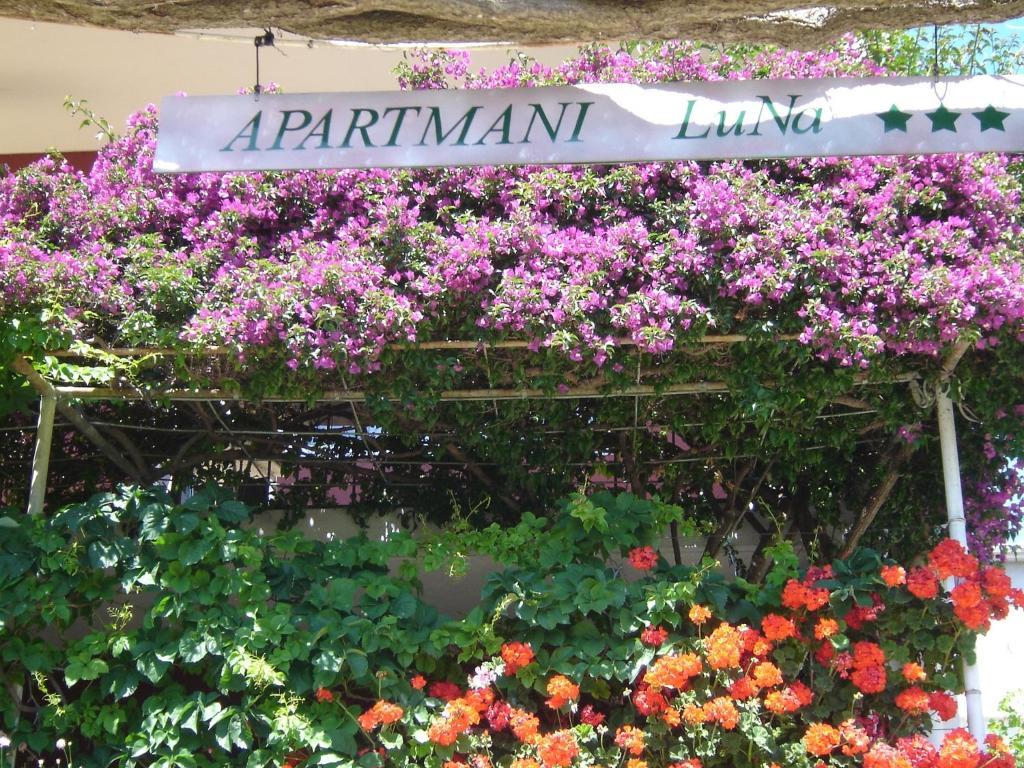 Apartmani Luna Đảo Hvar Ngoại thất bức ảnh